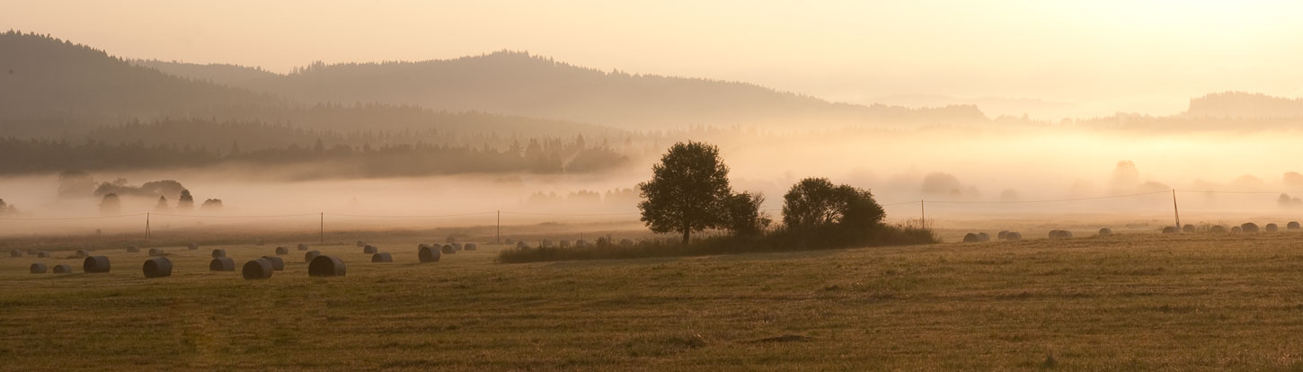 Dobrá na Šumavě svítání I 2013