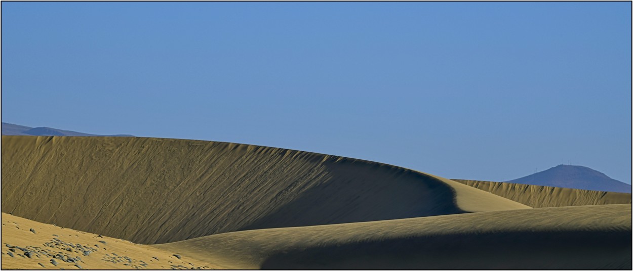 Gran Canaria, leden 2025, Dunas de Maspalomas, pokud byste se ptali, odkud je ten písek, tak ze Západní Sahary, je to přes Atlantik necelých 550 km, další  foto ..... Země-Španělsko-Gran Canaria