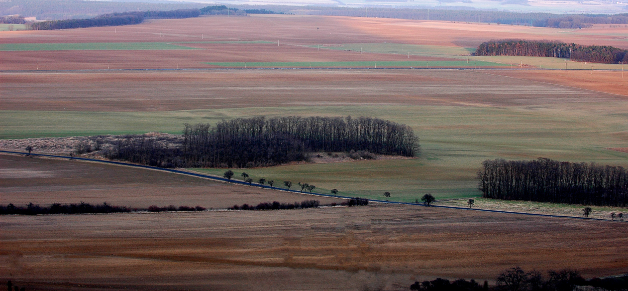 Lednová pole ve Středohoří 2005