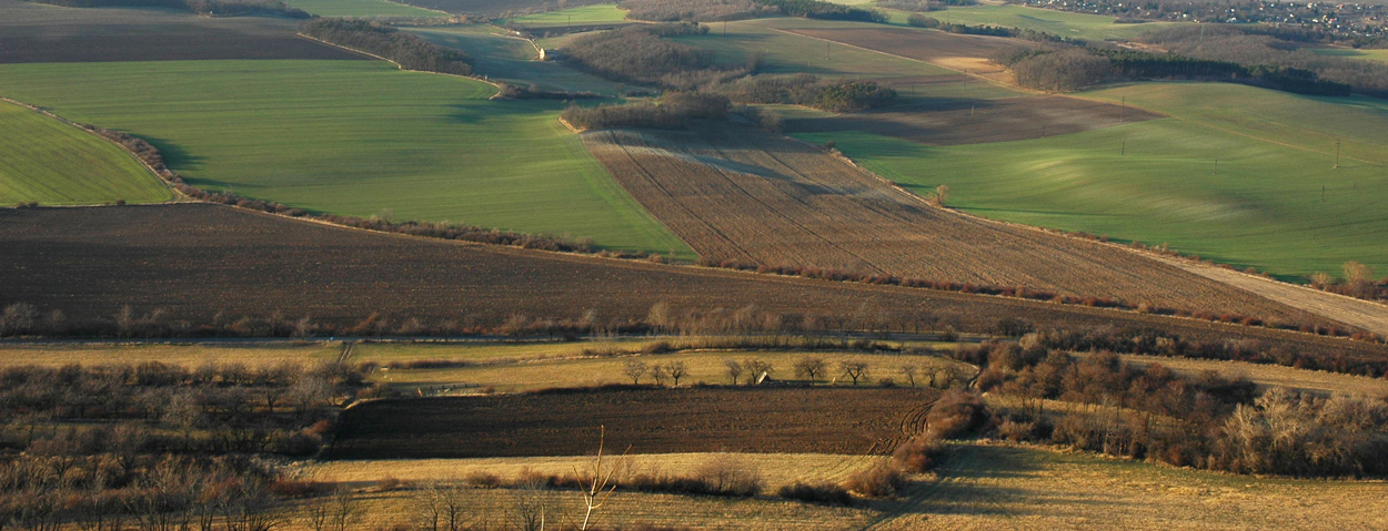 Pohled ze Řípu 2005