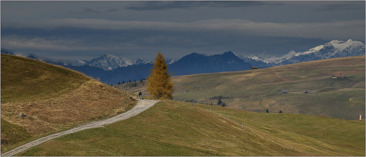 Říjen 2024, Seiser Alm, úchvatná, odpočinková cesta po loukách k Arnika Hütte, kde skvěle vaří (bohužel byl Ruhetag)