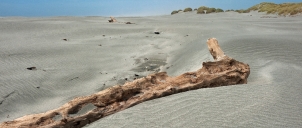 Kahurangi a Farewell Spit