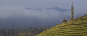 Steiermark - Seggauberg, podzimní cesta...