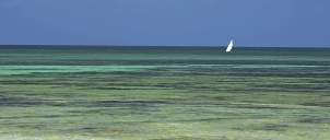 Zanzibar 2013, moře s rybářem na obzoru